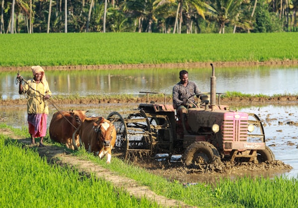 Agriculture & AgriTech